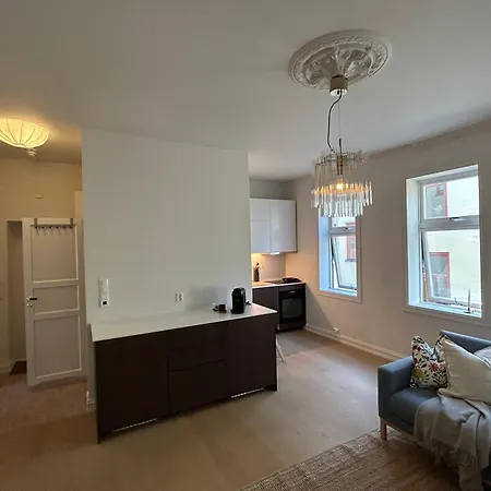 Newly Renovated 4-bedroom In Oslo