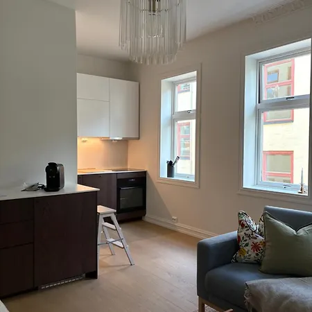 Newly Renovated 4-bedroom In 公寓 奥斯陆