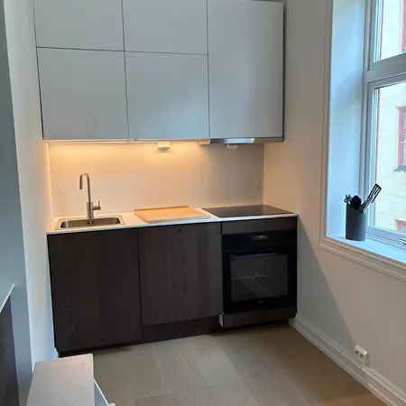 Newly Renovated 4-bedroom In Appartement